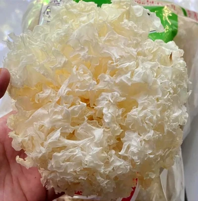 Jamur salju